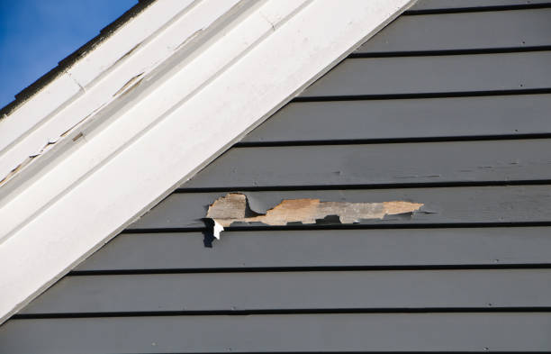 Reliable Chisholm, MN Siding Installation & Repair Solutions